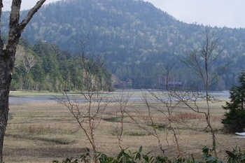 尾瀬浅湖湿原