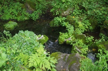 足寄町オンネトー湯の滝 温泉湧きだし口