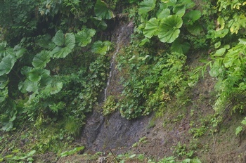 トムラウシ温泉 滝