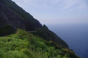 青ヶ島斜面