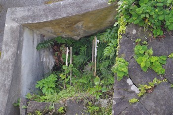 青ヶ島謎の祠