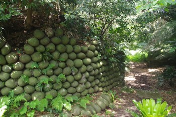 青ヶ島名主屋敷跡玉石垣