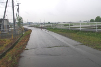 御船町 地震断層(国道横道路のひび割れ)