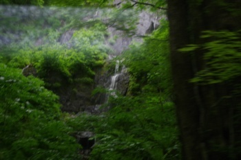 十和田市奥入瀬渓流白布の滝