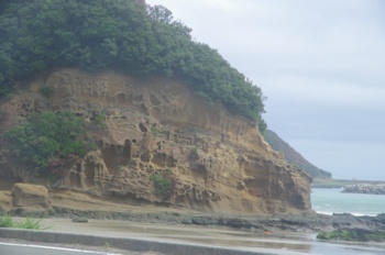 種子島 熊野海岸崖