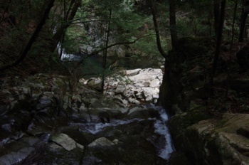 都農町尾鈴山瀑布群 青葉の滝下流側