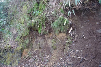山都町蘇陽峡 阿蘇3火砕流下位堆積物