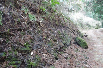 山都町蘇陽峡 阿蘇2火砕流下位堆積物