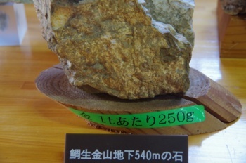 日田市鯛生金山 展示金鉱石