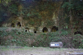 鹿央町 岩原横穴墓群