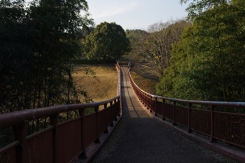 和水町 縄文の森 吊り橋