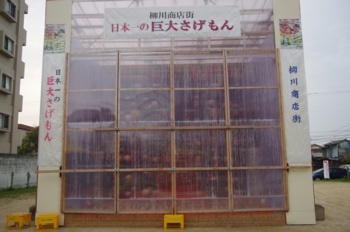 柳川市 巨大さげもん