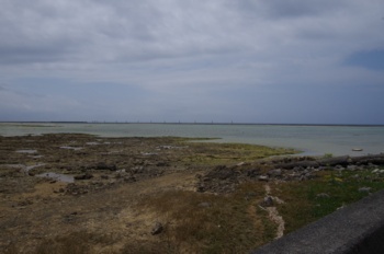 徳之島 松原漁港 海岸
