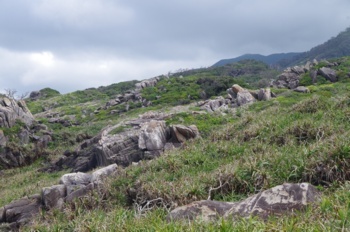 徳之島 ムシロ瀬 山側