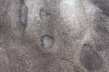 徳之島手々 鬼の足跡石 捕獲岩