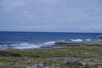 徳之島 手々海浜公園 波打ち際