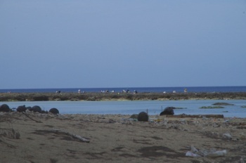 徳之島 手々海岸 海岸