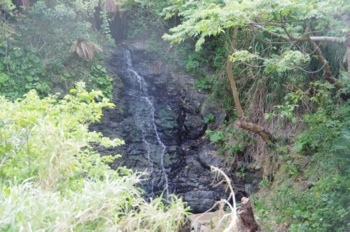 徳之島 くじら坂 幸福の滝