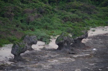 徳之島 犬の門蓋 展望台からキノコ岩