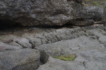 徳之島 犬の門蓋 石灰岩の浸食
