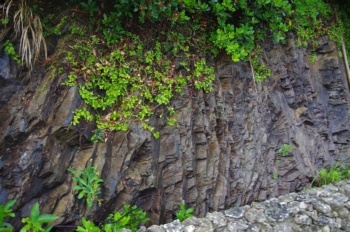 徳之島 与名間ビーチ岩石