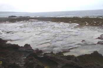 徳之島 みやどばる 塩田?