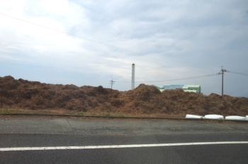 徳之島 瀬田海海浜公園製糖工場廃棄物