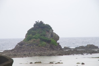 徳之島 奥名川ゴリラ岩