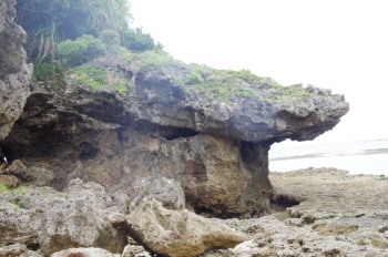 徳之島 なごみの岬海岸の岩