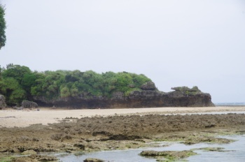 徳之島 なごみの岬海岸の岩