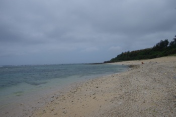 徳之島 シンデ浜