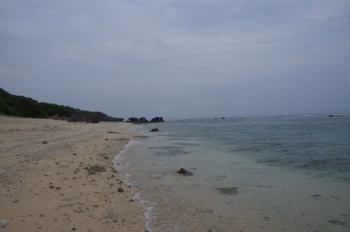 徳之島 シンデ浜