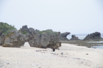 徳之島 シンデ浜 キノコ岩