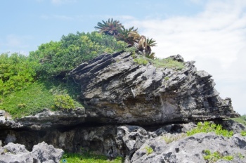 沖永良部島笠石浜の琉球石灰岩