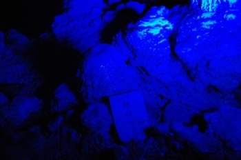 沖永良部島 昇竜洞 根性の岩