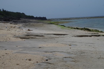 沖永良部島 大津勘 ビーチロック