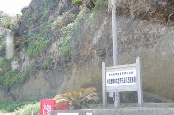 沖永良部島 沖泊海浜公園 化石含有層
