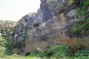 沖永良部島 沖泊海浜公園 化石含有層