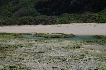 沖永良部島 沖泊海浜公園 礁湖
