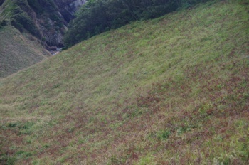 下甑島 鳥の巣山展望所から平瀬崎方面