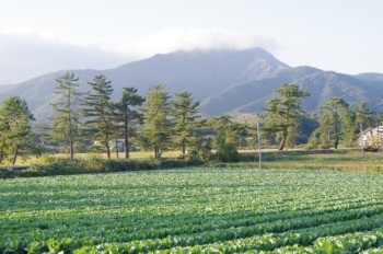 真庭市 蒜山