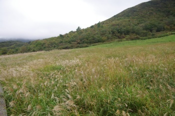 大山 鏡ヶ成湿原