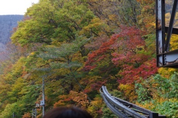 湯沢町 田代ロープウェイ 紅葉