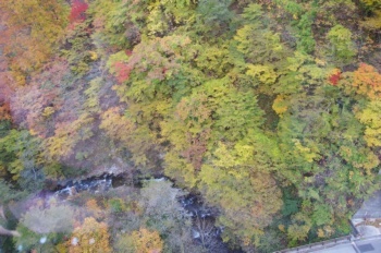 湯沢町 田代ロープウェイ 清津川