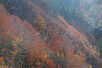 湯沢町 ドラゴンドラから黄葉