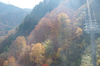 湯沢町ドラゴンドラ 山の斜面と紅葉