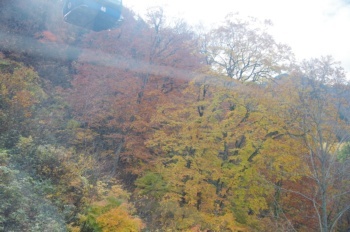 湯沢町 ドラゴンドラ 紅葉