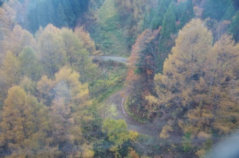 湯沢町 ドラゴンドラから見える林道