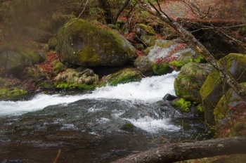 茅野市蓼科温泉 湯の滝川