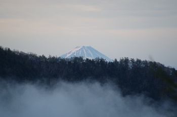 高峰高原林道 富士山